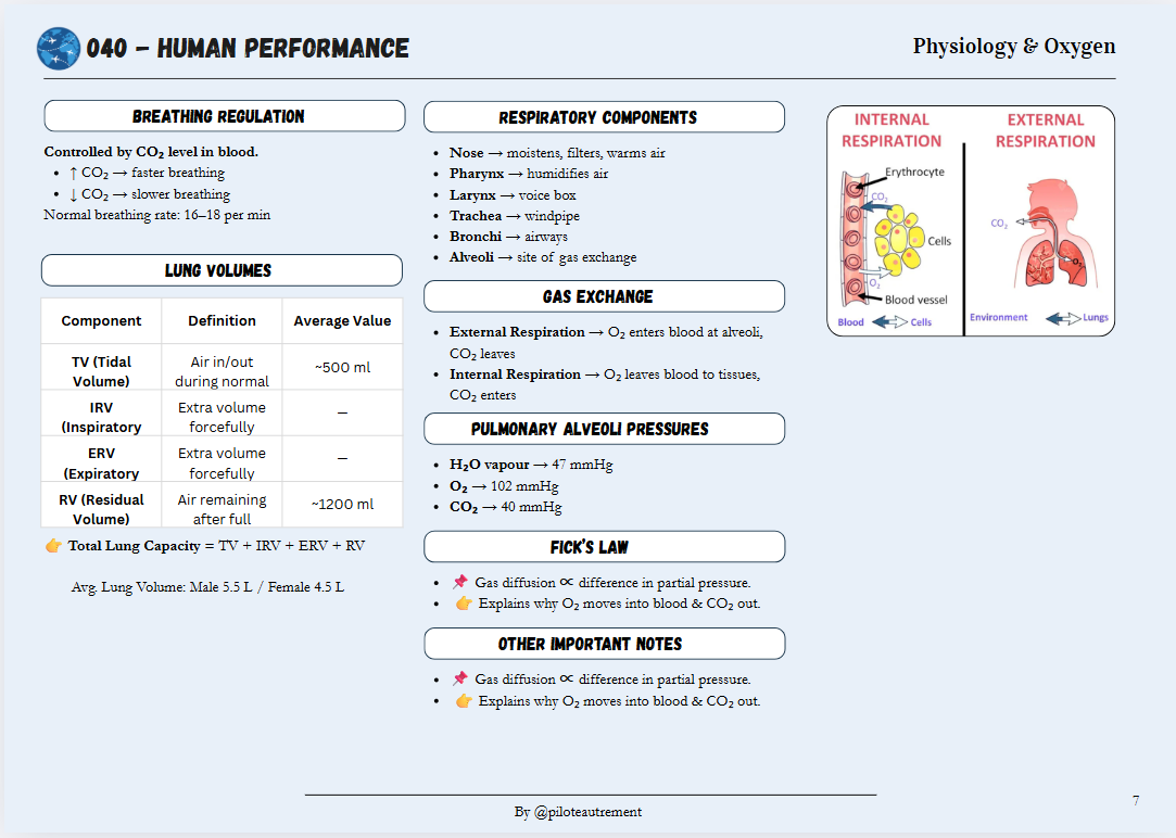Human Performance & Limitation - Revision Sheet